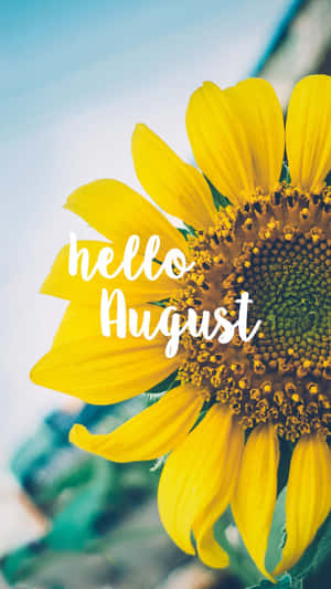 一朵鮮豔的黃色向日葵，帶有hello August文字，背景為藍天。 — 八月 壁紙