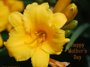 黃色萱草特寫，帶有 'Happy Mother's Day' 文字。 — 4:3 壁紙
