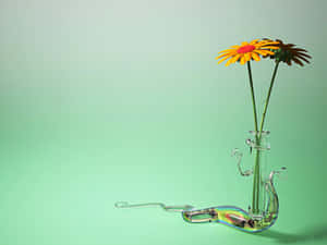 一個天鵝形玻璃花瓶，插著一朵亮黃色和一朵褪色的棕色雛菊，放在薄荷綠色上。 — 花朵美學動態圖 壁紙