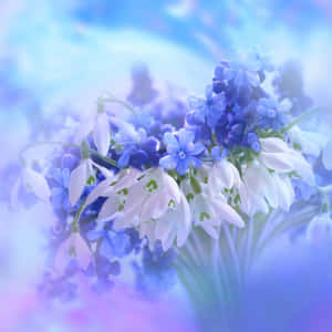 一束柔和的藍白春花，在粉彩光中閃耀。 — 花 壁紙