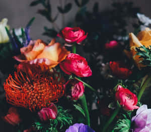 深色背景花束中色彩繽紛的花朵特寫 — 美學 壁紙