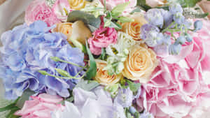 一束色彩繽紛的粉彩花朵，包括玫瑰和繡球花。 — 花朵美學動態圖 壁紙