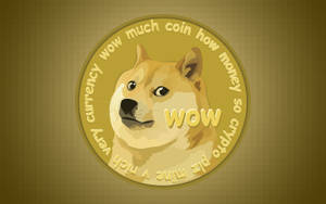 金幣上有柴犬及加密貨幣文字 — 卡通狗 壁紙