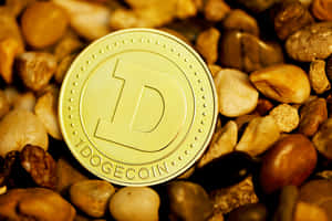 光滑河石中的金色 Dogecoin 代幣。 — MacBook Pro M3 壁紙