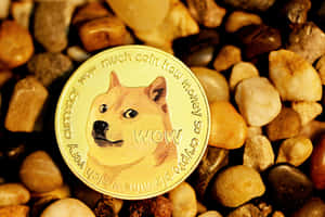 光滑河石上的金色Dogecoin，帶有柴犬臉。 — MacBook Air 壁紙