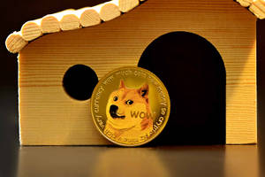 金色Dogecoin在溫暖燈光下的小木狗屋前。 — 狗狗藝術 壁紙