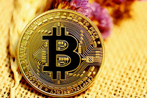 金色比特幣，電路設計，編織表面，乾燥花朵附近 — 比特幣 GIF 壁紙