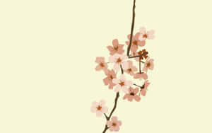 在奶油色背景上，一枝風格化的櫻花枝條，開著粉紅色的花朵。 — 花朵美學動態圖 壁紙
