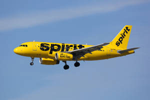 黃色Spirit Airlines飛機放下起落架在藍天中飛行。 — 藍天 壁紙