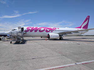 Swoop飛機停在機場閘口，連接了登機橋 — 伸展台 壁紙