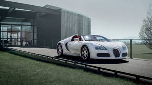 白色Bugatti Veyron跑車停放在現代化車道上，背景為玻璃建築。 — 布加迪 GIF 壁紙