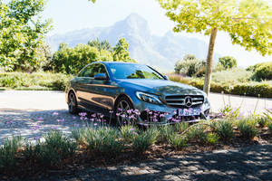 銀色梅賽德斯轎車停泊在紫色花朵中，背景有山脈。 — Mercedes Benz C300 壁紙
