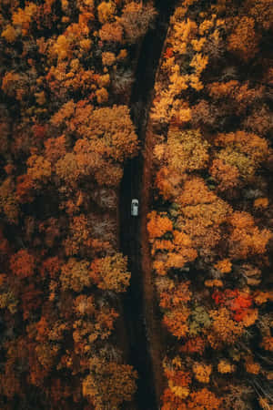白色汽車在蜿蜒的道路上穿過秋日森林的鳥瞰圖 — 秋季 iPhone 壁紙