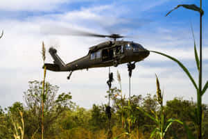 黑色軍用直升機，士兵在藍天下沿繩索下降至高高的草地上方。 — 直升機 壁紙