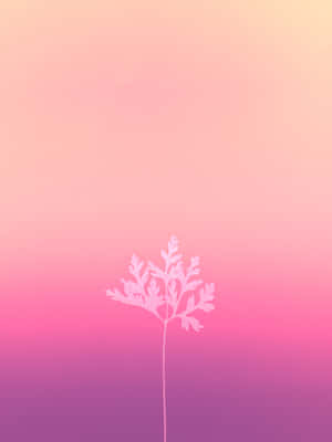 白色蕨類植物剪影，背景為粉紅和紫色漸變。 — 美學粉色GIF 壁紙