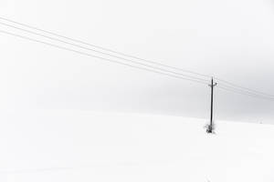 灰色天空下，雪地中的一根孤獨電線杆。