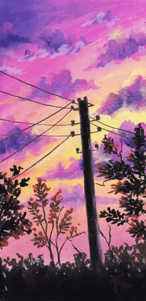 電線桿和樹木在色彩繽紛的日落天空下形成剪影。 — Pixel 4 壁紙