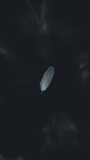 一根白色羽毛懸浮在黑暗空間中，帶有輕柔煙霧般的圖案。