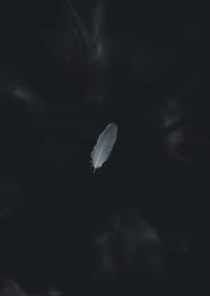 白色羽毛懸浮在黑暗煙霧中，周圍有發光的煙縷。 — 簡約 壁紙