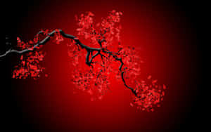 黑色櫻桃枝條在紅色漸變背景上開出紅色花朵。 — 日式 壁紙