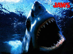 大白鯊在水下張開嘴巴，電影《JAWS》海報。 — 大白鯊 壁紙