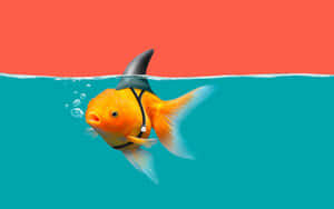 一條戴著鯊魚鰭的金魚在水中游動，伴隨著氣泡。 — 魚 GIF 壁紙