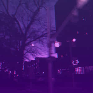 紫色調的夜間城市街道，帶有動態模糊和光禿的樹枝。 — 紫色 壁紙