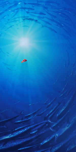 深藍色海洋中，一條小丑魚被旋轉的魚群包圍。 — 18:9 壁紙