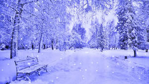 在藍色冬季樹木下，雪花飄落中白雪覆蓋的公園長椅。 — 酷寒冬季 壁紙
