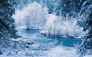 白雪覆蓋的森林，一條平靜的藍色河流蜿蜒穿過。 — 冬季風景 壁紙