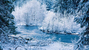 白雪覆蓋的森林中有一條平靜的藍色河流蜿蜒穿過。 — 冬季風景 壁紙