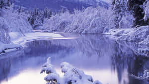 冬日暮色中映照樹木和山脈的積雪河流。 — 冬季風景 壁紙