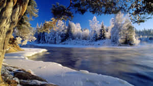 結冰的河流蜿蜒穿過白雪皚皚的森林，在明亮的藍天下 — 冬季風景 壁紙