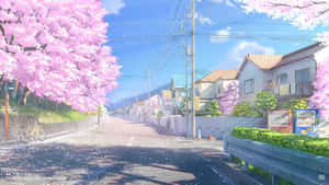 在陽光明媚的春日，櫻花樹排列在安靜的住宅街道上。 — 動畫風景動圖 壁紙
