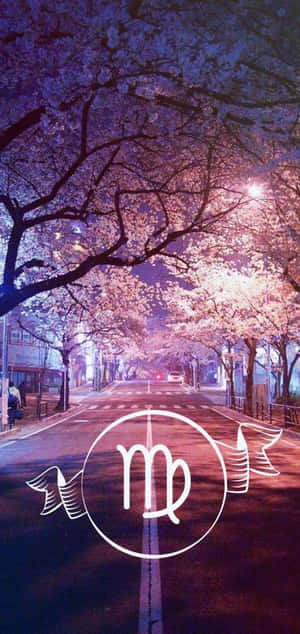 夜晚街道上有櫻花和摩羯座星座符號在路燈下發光。 — 處女座 壁紙