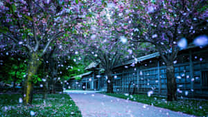 櫻花花瓣在春天飄過傳統木建築的小徑。 — 酷寒冬季 壁紙