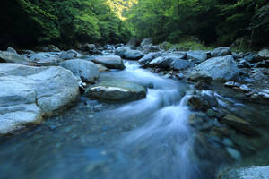 一條流動的山間溪流，在綠色森林中岩石上有平滑的水流。 — 水 壁紙