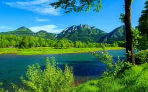 一條平靜的河流蜿蜒穿過充滿活力的綠色草地，背景是森林覆蓋的山脈。 — 2880x1800 壁紙