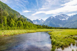 一條蜿蜒的河流流過一片充滿活力的綠色草地，背景是雪山。 — 森林湖泊 壁紙
