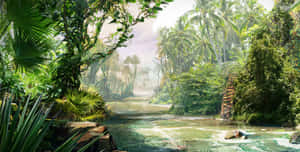 一條平靜的河流流經茂密的熱帶叢林，棕櫚樹和霧氣背景。 — 美麗的秋天 壁紙