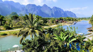 熱帶河谷，棕櫚樹和山脈背景 — 河景 壁紙