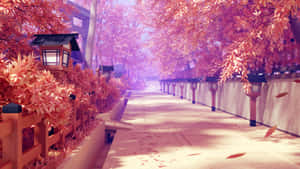 一條寧靜的秋日步道，有粉紅色楓樹和燈籠。 — 美麗的動畫 壁紙