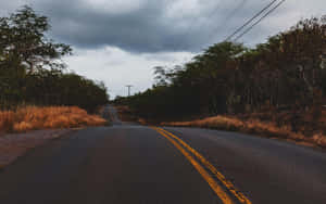 一條空蕩蕩的彎曲道路穿過森林，天空多雲。 — 暮光 壁紙