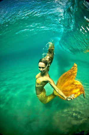一名打扮成人魚的女子在清澈的藍綠色海水中游泳。 — 芭比美人魚 壁紙