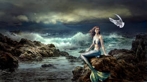 一條擁有藍色尾巴的美人魚坐在岩石海岸上，海浪拍打，一隻海鷗在附近飛翔。 — 神話生物 壁紙