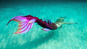 一個穿著色彩繽紛美人魚服裝的人，在清澈的藍色海水中游泳。 — 美人魚 壁紙