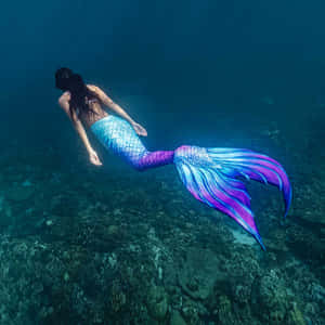 一條擁有藍紫色尾巴的美人魚在珊瑚礁上游動。 — 美人魚 壁紙