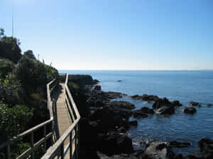 岩石海岸旁的木製步道，海洋與清澈天空 — 海灘日落 壁紙
