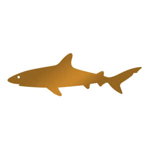 白色背景上的黃金鯊魚剪影 — 鯊魚 壁紙
