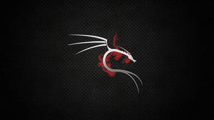 銀色龍配紅色火焰在深色穿孔背景上 — Kali Linux 壁紙